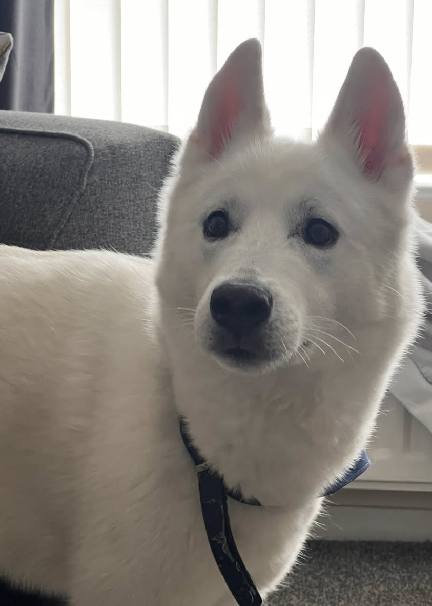 Ghost